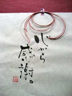c0114110_11929100.jpg