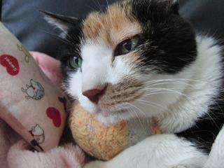 c0201113_23142057.jpg