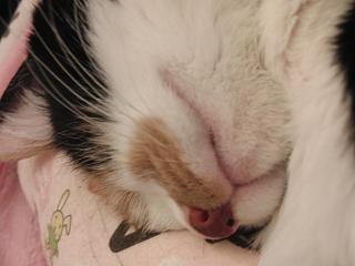 c0201113_23265174.jpg