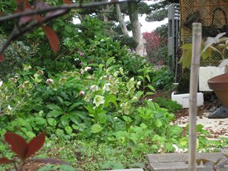 c0226317_22482435.jpg