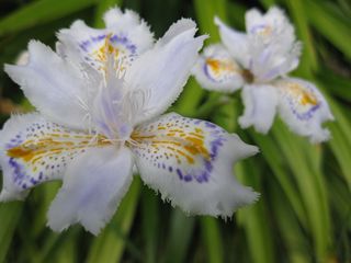 c0226317_2257189.jpg