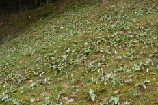 c0197220_18471521.jpg