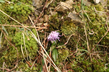 c0197220_1854392.jpg