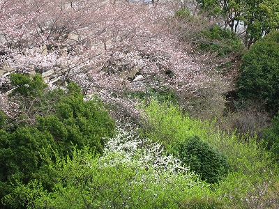 a0111621_1544726.jpg