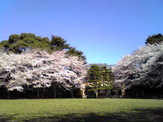 f0229926_10263573.jpg