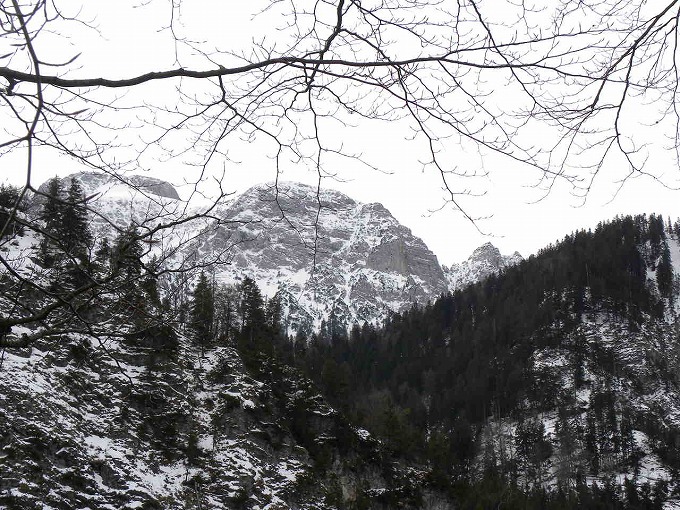 f0054429_2356647.jpg