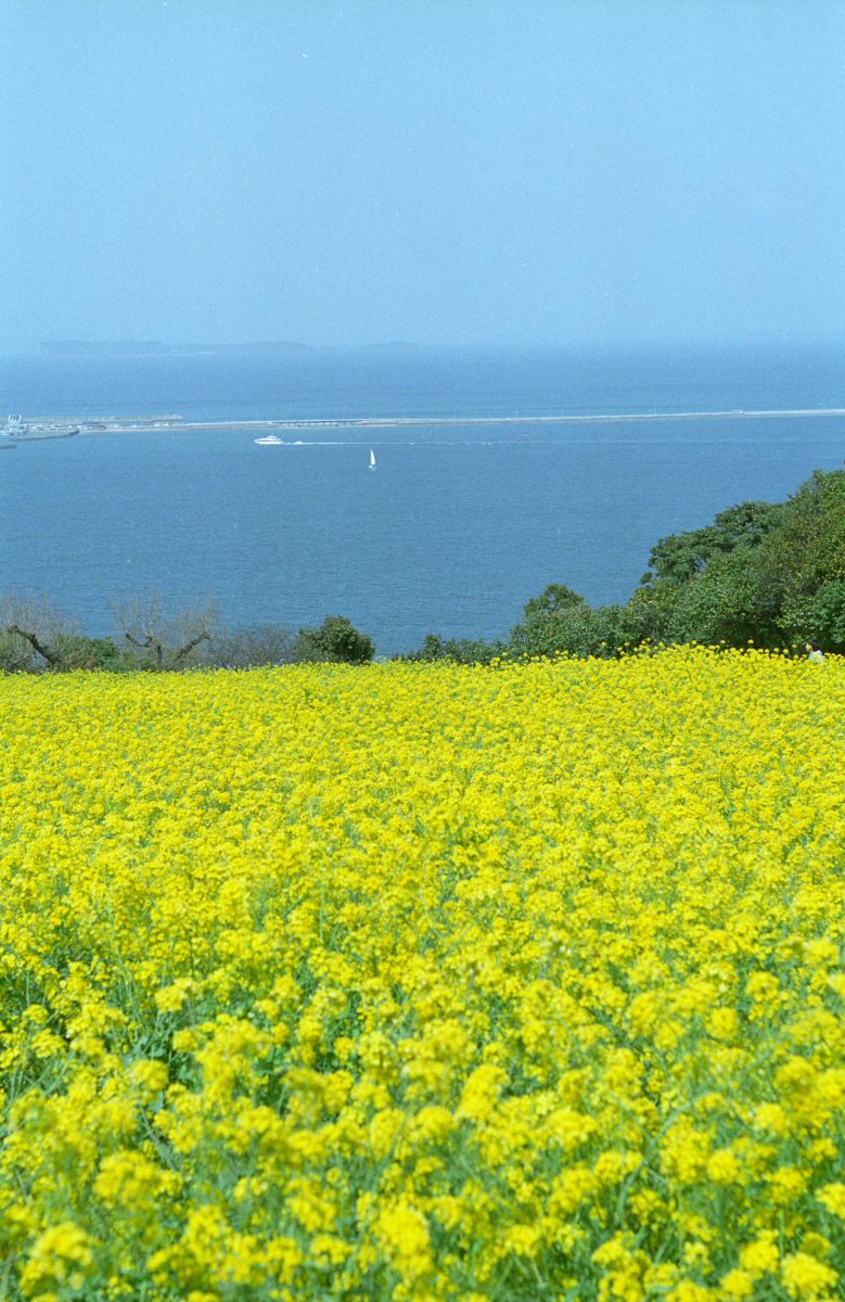 d0032931_0144116.jpg