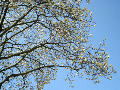 c0068639_2211144.jpg