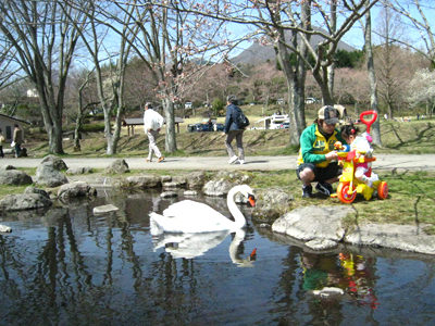 c0068639_22164475.jpg