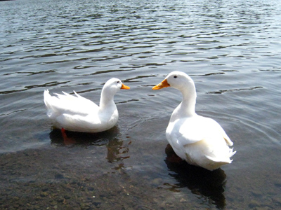 c0068639_2221287.jpg