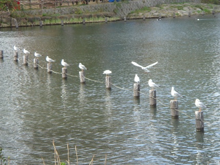 f0088839_1027231.jpg