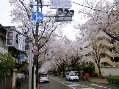 b0019140_15544633.jpg