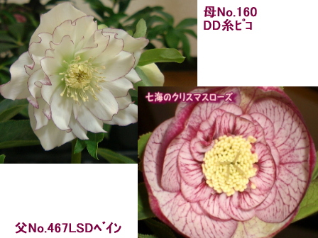 c0025140_21244289.jpg