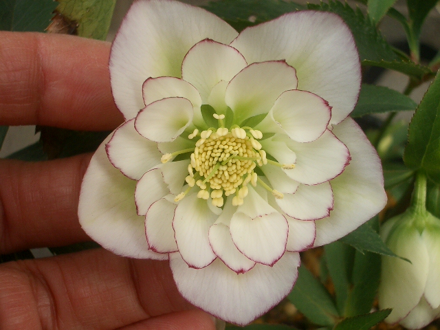 c0025140_21312948.jpg