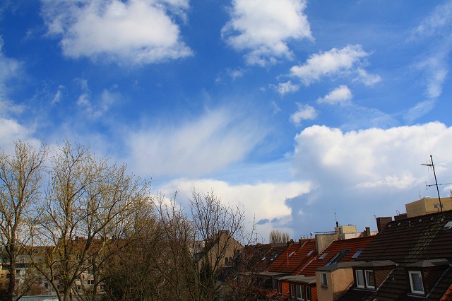 c0153740_3222456.jpg