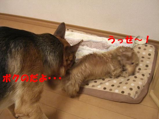 c0192541_03736100.jpg