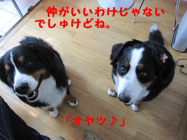 a0108146_154961.jpg