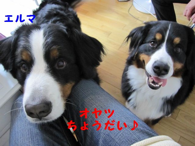 a0108146_15533443.jpg