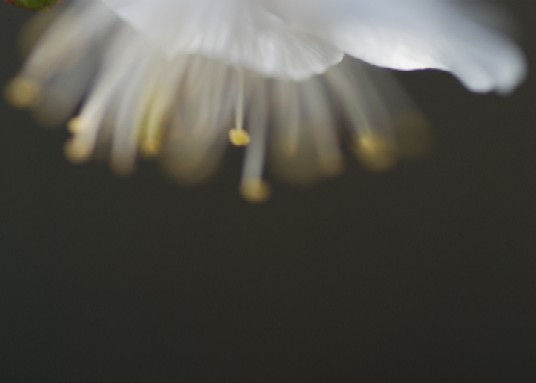 e0009147_8462223.jpg
