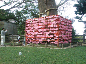 c0200849_2150123.gif