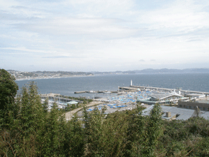c0200849_2151764.gif