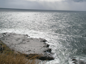 c0200849_22144586.gif