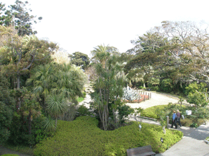 c0200849_22714.gif