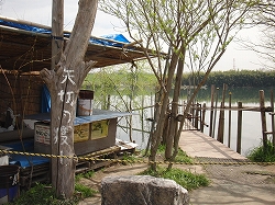 d0138650_834475.jpg