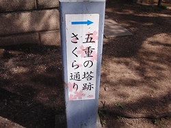 d0138650_8462661.jpg