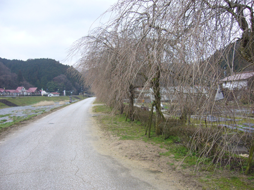 b0174451_91747.jpg