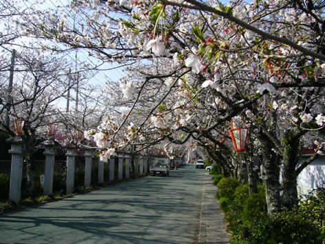 f0067354_20323633.jpg