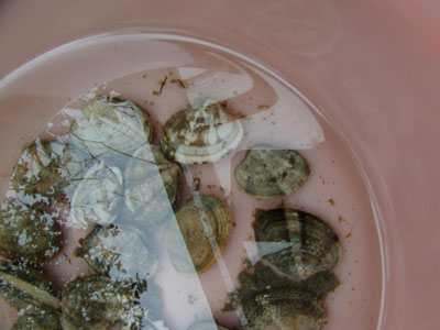 f0168256_1257188.jpg