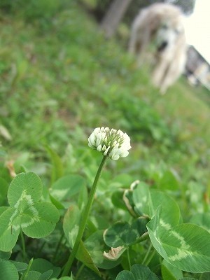 c0097558_23343969.jpg