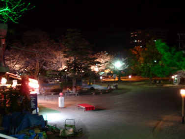 d0029958_1465276.jpg