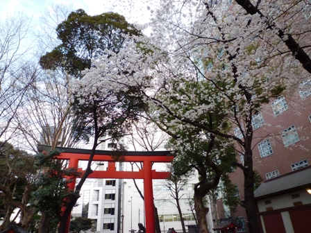 b0093660_351329.jpg