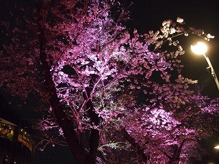 c0047860_22272945.jpg