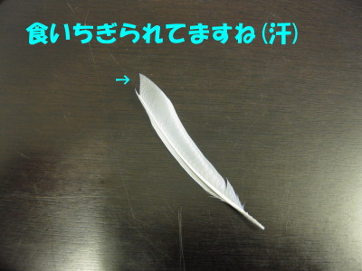 b0158061_2130318.jpg