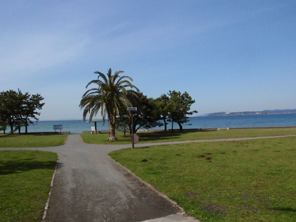 c0110361_124262.jpg