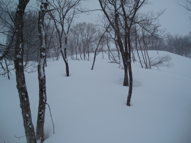 f0145963_2133101.jpg