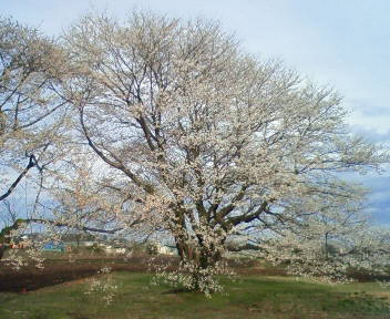 a0170166_2224338.jpg