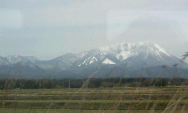 e0058166_12619.jpg