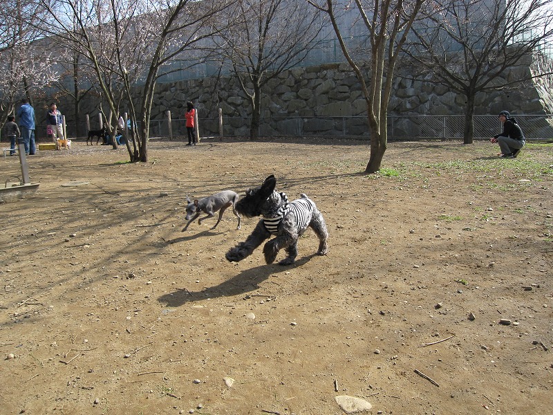 a0104569_12344323.jpg