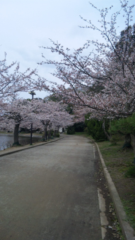 d0061770_23322873.jpg