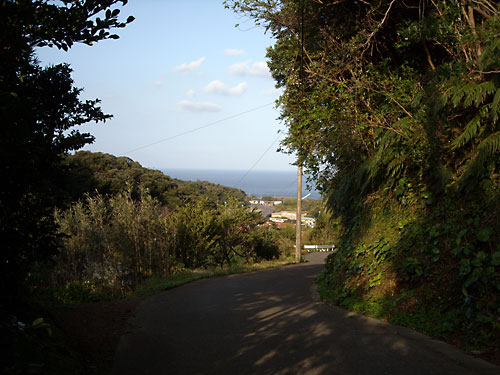 e0097770_20555148.jpg