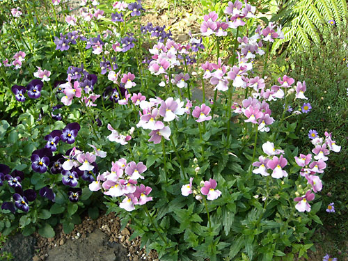 e0097770_20562016.jpg