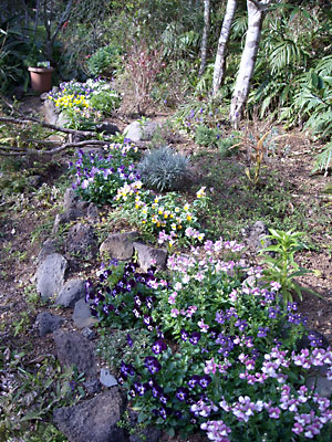 e0097770_20563263.jpg
