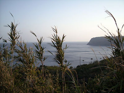 e0097770_2058464.jpg