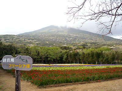 e0097770_22401733.jpg