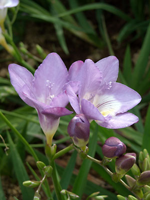e0097770_22423051.jpg