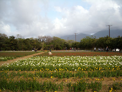 e0097770_22432621.jpg